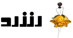 رز زرد