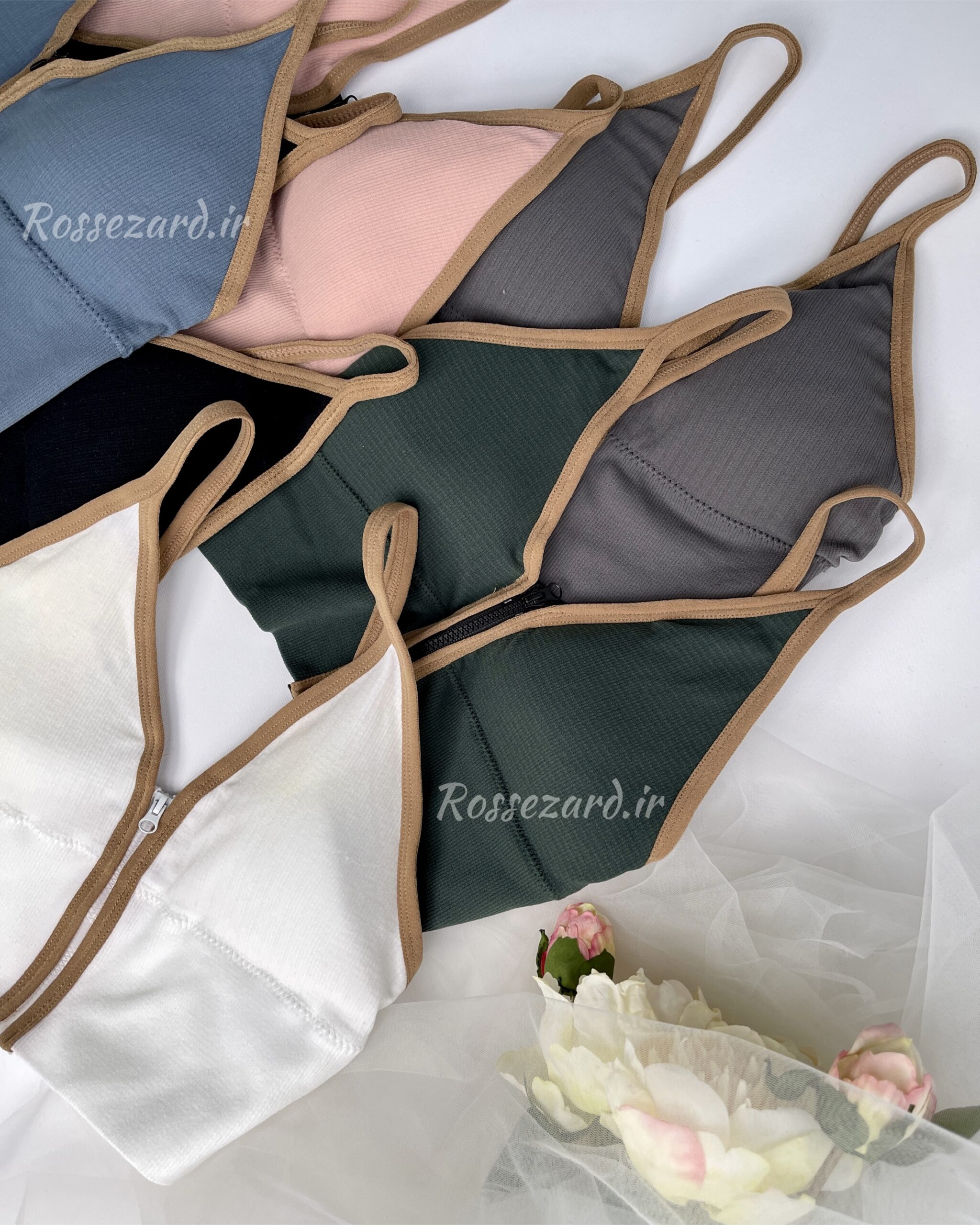 EC2F1C01-5578-464A-A24C-BB537126BE78